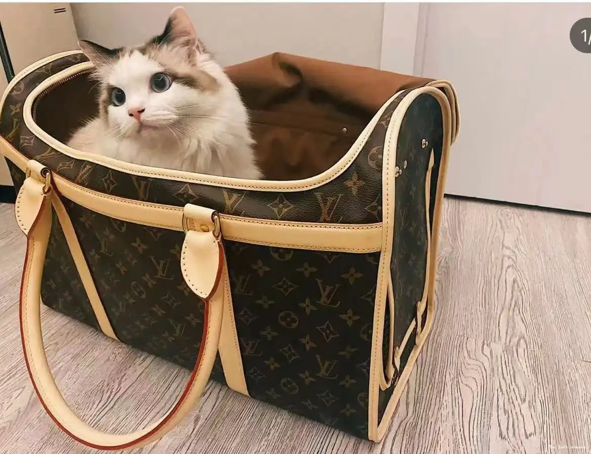 CUSTOM PET BAG LV 0524